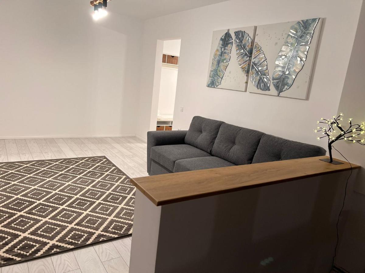 Apartament English Home 2 Camere Брашов Екстер'єр фото